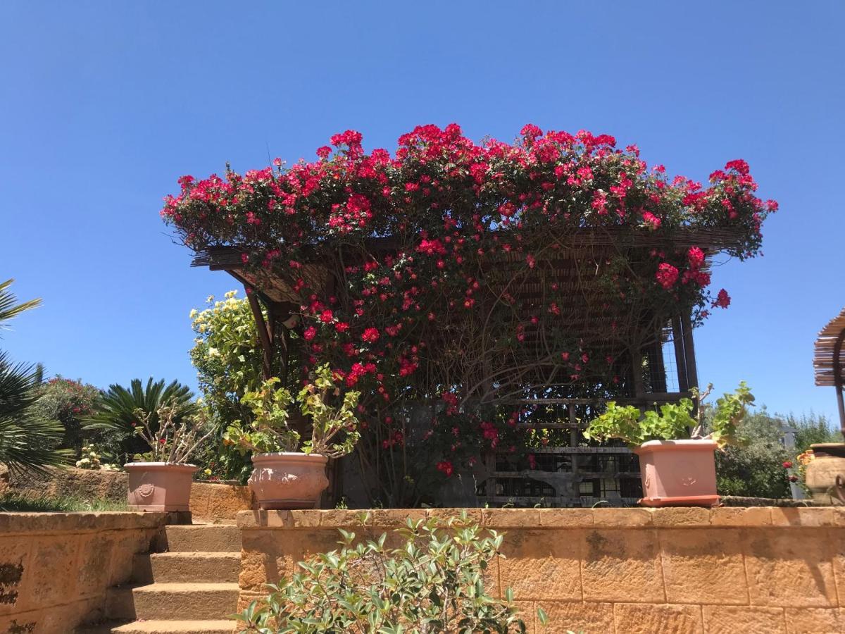 Il Giardino Di Athena Vista Valle Dei Templi 维拉吉欧佩卢佐 外观 照片