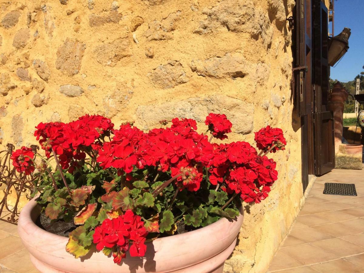 Il Giardino Di Athena Vista Valle Dei Templi 维拉吉欧佩卢佐 外观 照片