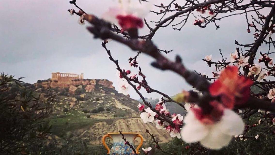 Il Giardino Di Athena Vista Valle Dei Templi 维拉吉欧佩卢佐 外观 照片
